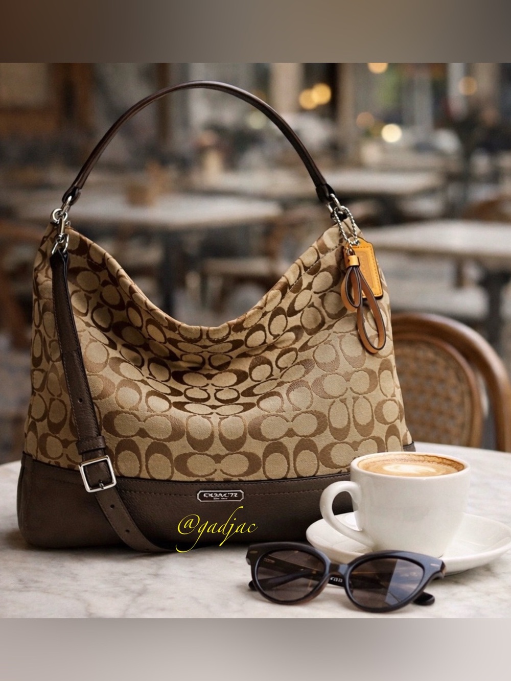 Coach PARK Signature Hobo | Style F23279